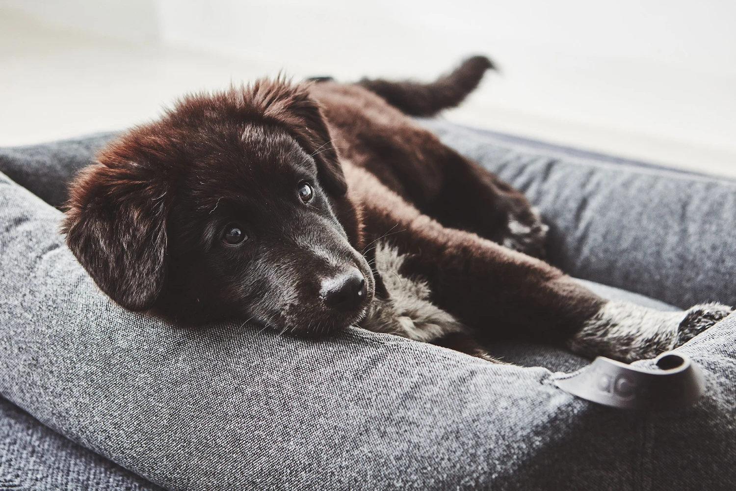 MiaCara Box-Bett Stella 8 MiaCara Box-Bett Stella – Bild 6