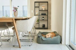 MiaCara Box-Bett Velluto Salbei -Ruffwear Verkaufsgeschäft MC C02 019 03 Sleep BoxBed Velluto Sage