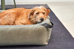 MiaCara Box-Bett Velluto Salbei -Ruffwear Verkaufsgeschäft MC C02 019 03 Sleep BoxBed Velluto Sage3