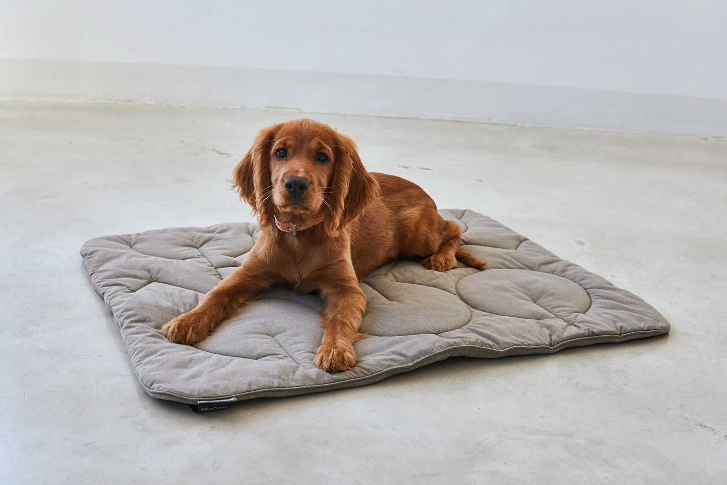 MiaCara Steppdecke Linea Mocca 4 MiaCara Steppdecke Linea Mocca – Bild 2