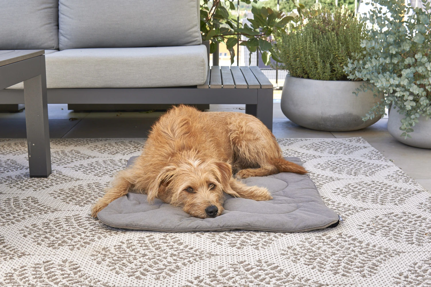 MiaCara Steppdecke Linea Mocca 7 MiaCara Steppdecke Linea Mocca – Bild 5