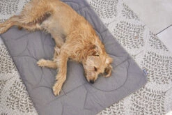 MiaCara Steppdecke Linea Mocca 11 MiaCara Steppdecke Linea Mocca -Ruffwear Verkaufsgeschäft MC C03 011 03 Sleep Blanket Linea Mocca Hugo2