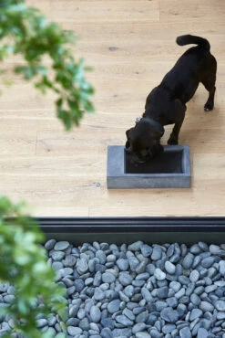 MiaCara Trogolo Wassertrog Beton -Ruffwear Verkaufsgeschäft MC C06 002 02 Eat Trogolo 354