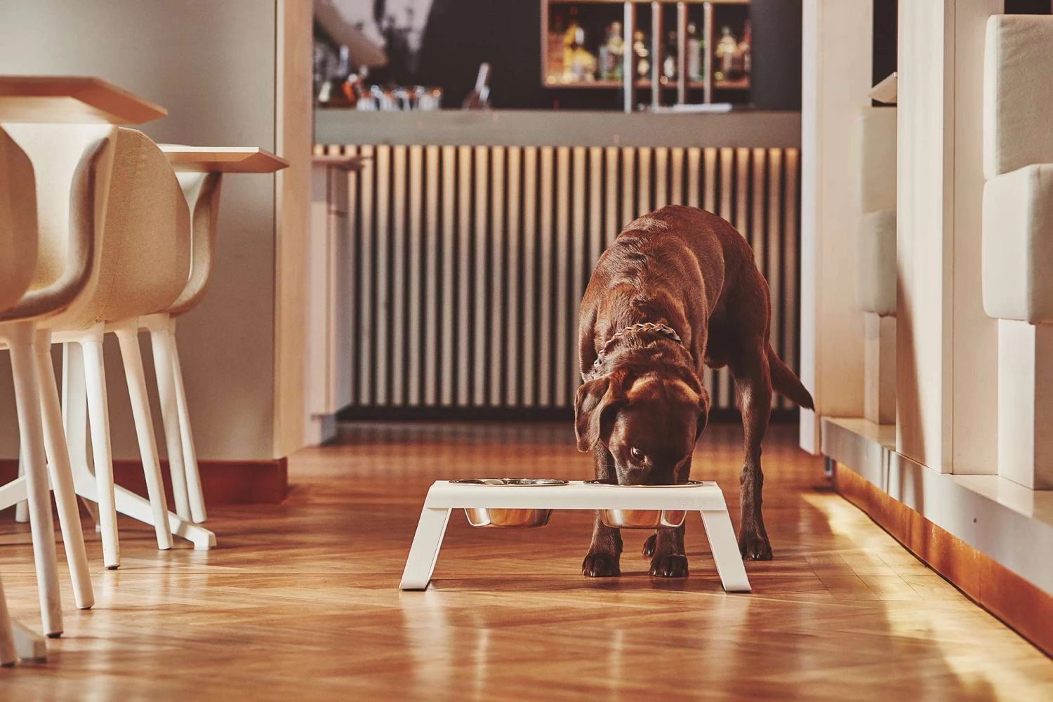 MiaCara Napfständer Desco, Pulverbeschichtet 4 MiaCara Napfständer Desco, Pulverbeschichtet – Bild 2