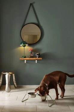 MiaCara Napfständer Cena, Pulverbeschichtet -Ruffwear Verkaufsgeschäft MC C06 006 02 M Eat Cena Dusty Green Kaestner 2912