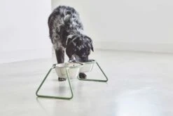 MiaCara Napfständer Cena, Pulverbeschichtet -Ruffwear Verkaufsgeschäft MC C06 006 02 M Eat Cena Dusty Green Molly 1 905