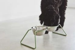 MiaCara Napfständer Cena, Pulverbeschichtet -Ruffwear Verkaufsgeschäft MC C06 006 02 M Eat Cena Dusty Green Oskar 2 367