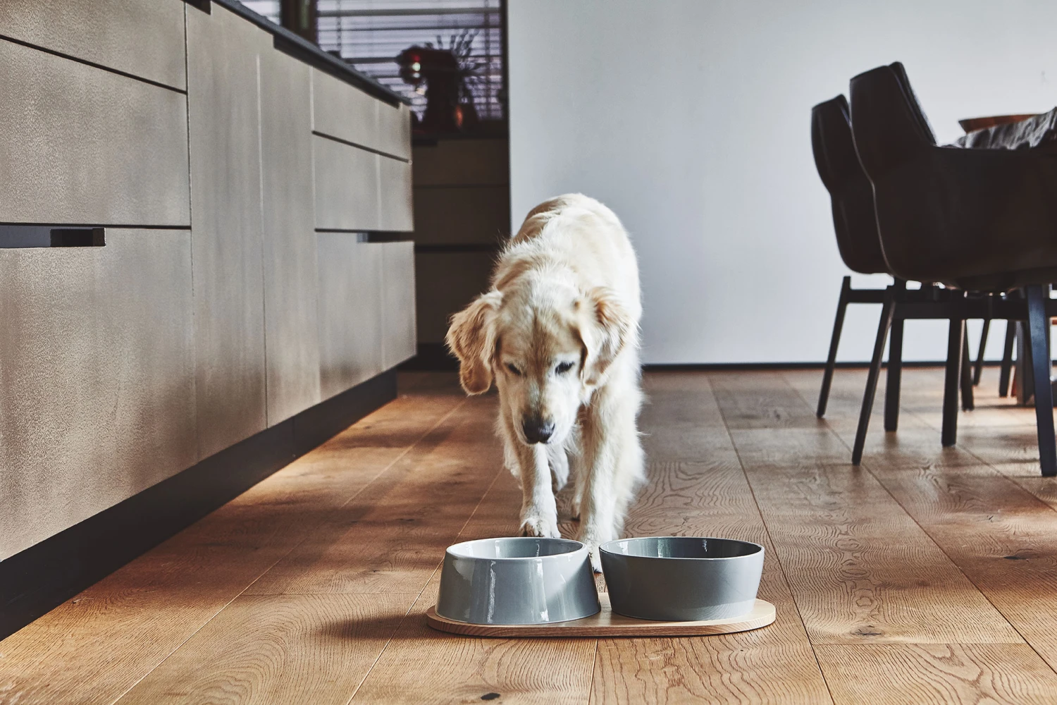 MiaCara Napf-Set Doppio 7 MiaCara Napf-Set Doppio – Bild 5