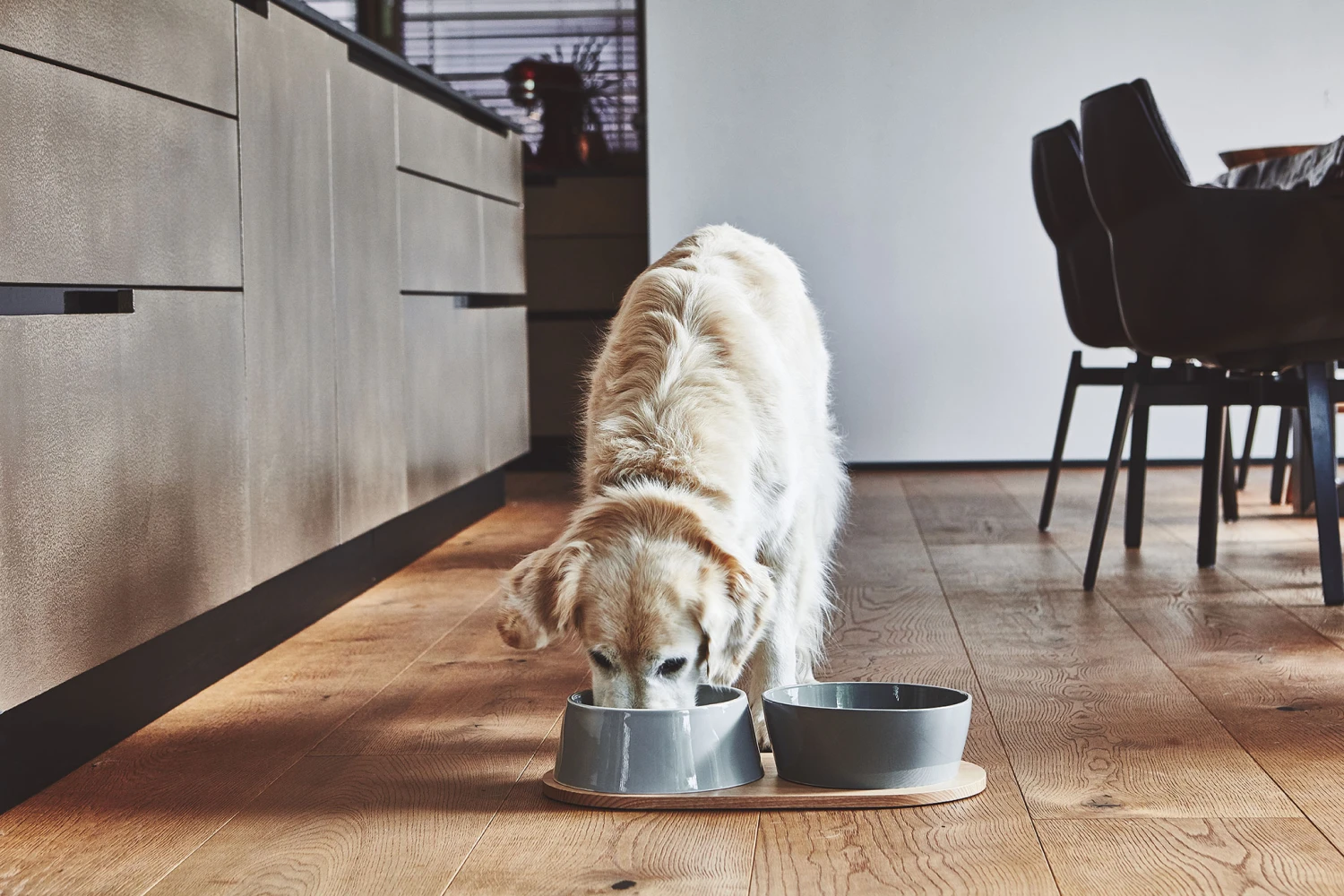 MiaCara Napf-Set Doppio 8 MiaCara Napf-Set Doppio – Bild 6