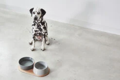 MiaCara Napf-Set Doppio 10 MiaCara Napf-Set Doppio -Ruffwear Verkaufsgeschäft MC C06 009 03 ML Eat Doppio Concrete Penny 890