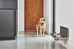 MiaCara Wand-Napf Arco Grau 9 MiaCara Wand-Napf Arco Grau -Ruffwear Verkaufsgeschäft MC C06 011 01 M Eat Arco dog feeder HPL Grey Hugo 034