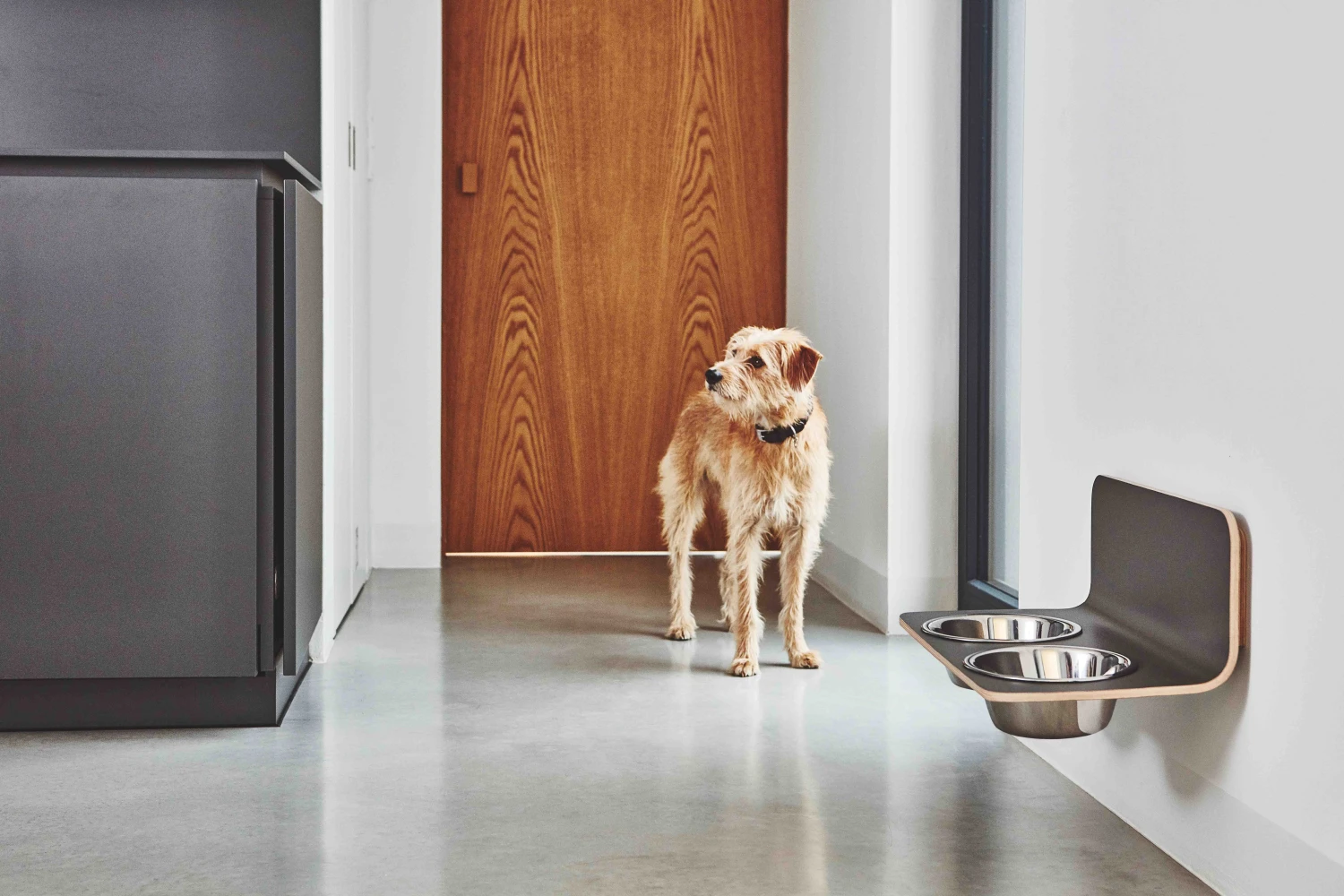 MiaCara Wand-Napf Arco Grau 6 MiaCara Wand-Napf Arco Grau – Bild 4