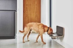 MiaCara Wand-Napf Arco Grau 8 MiaCara Wand-Napf Arco Grau -Ruffwear Verkaufsgeschäft MC C06 011 01 M Eat Arco dog feeder HPL Grey Hugo 056