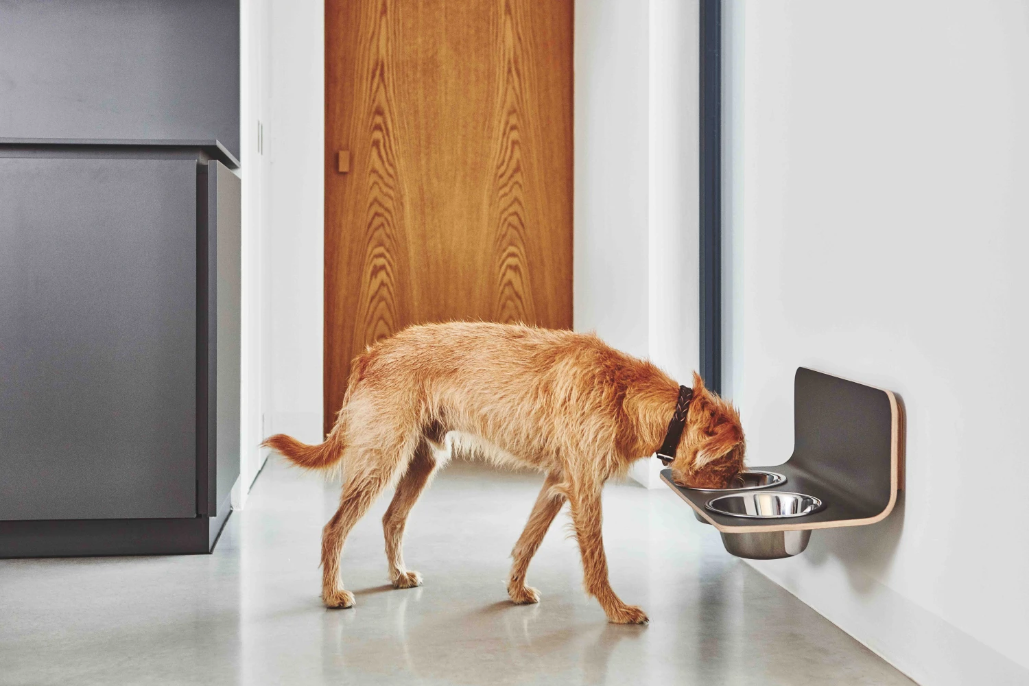 MiaCara Wand-Napf Arco Grau 5 MiaCara Wand-Napf Arco Grau – Bild 3