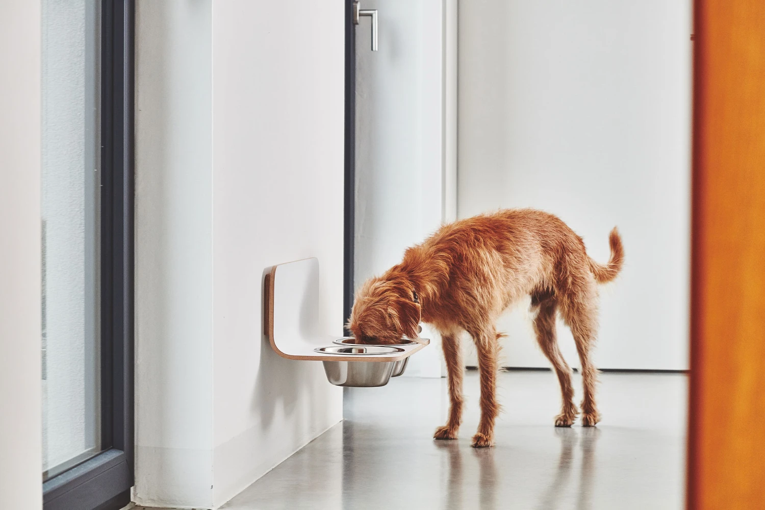 MiaCara Wand-Napf Arco Weiß 5 MiaCara Wand-Napf Arco Weiß – Bild 3