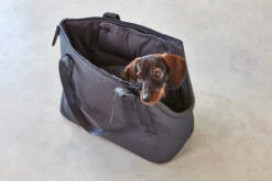 MiaCara Tragetasche Sporta SM Asphalt -Ruffwear Verkaufsgeschäft MC C11 004 03 S Travel Sporta Dog Carrier Asphalt V2