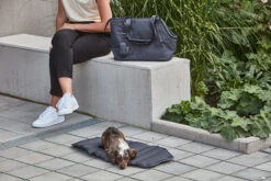 MiaCara Tragetasche Sporta SM Asphalt -Ruffwear Verkaufsgeschäft MC C11 004 03 S Travel Sporta Dog Carrier Asphalt V3