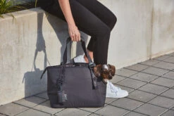 MiaCara Tragetasche Sporta SM Asphalt -Ruffwear Verkaufsgeschäft MC C13 018 03 Accessories Sacchetto Poop Bag Holder Asphalt 01