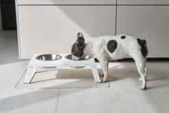 MiaCara Napfunterlage Tova Greige -Ruffwear Verkaufsgeschäft MC C13 020 01 Eat Placemat Tova Greige Emma1