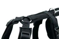 Ruffwear Verkaufsgeschäft -Ruffwear Verkaufsgeschäft Op9bFerc