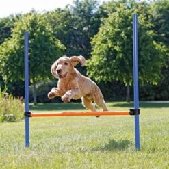 Trixie Dog Activity Agility Hürde, Kunststoff 123 × 115cm / ø 3cm, Blau/orange