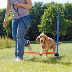 Trixie Dog Activity Agility Hürde, Kunststoff 123 × 115cm / ø 3cm, Blau/orange -Ruffwear Verkaufsgeschäft PHO PRO DOG 3207 2