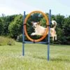 Trixie Dog Activity Agility Ring, Kunststoff 115 × ø 3cm, ø 65cm, Blau/orange -Ruffwear Verkaufsgeschäft PHO PRO DOG 3208 1