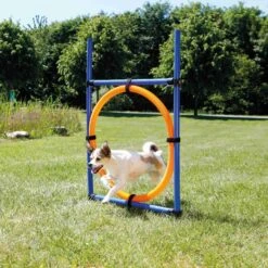 Trixie Dog Activity Agility Ring, Kunststoff 115 × ø 3cm, ø 65cm, Blau/orange -Ruffwear Verkaufsgeschäft PHO PRO DOG 3208 2