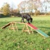 Trixie Dog Activity Agility Steg 456 × 64 × 30cm -Ruffwear Verkaufsgeschäft PHO PRO DOG 32090 1