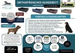 Lebon Hundebett Paula Ortho-PLUS -Ruffwear Verkaufsgeschäft POSTER20PAULA20ORTHO20 20NEU20PLUS202020