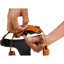 Ruffwear Front Range Harness Campfire Orange -Ruffwear Verkaufsgeschäft Ruffwear20Front20Range20Harness20Campfire20Orange2006