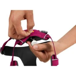 Ruffwear Front Range Harness Hibiscus Pink 13 Ruffwear Front Range Harness Hibiscus Pink -Ruffwear Verkaufsgeschäft Ruffwear20Front20Range20Harness20hibiscus20pink2006