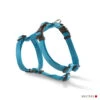Wolters Geschirr Soft & Safe Professional 1 Wolters Geschirr Soft & Safe Professional -Ruffwear Verkaufsgeschäft SoftSafe Professional Geschirr aqua Logo
