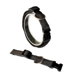 Koch UNI-Klick-Halsband Gepolstert