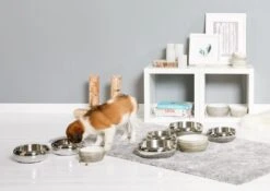 Wolters Diner Steel 9 Wolters Diner Steel -Ruffwear Verkaufsgeschäft WOLTERS Pressebild Diner Steel Stone web