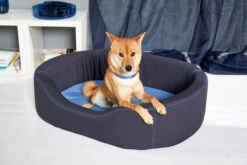 Wolters VIP Lounge Nylon -Ruffwear Verkaufsgeschäft WOLTERS Pressebild VIP Nylon Lounge marine web