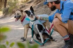 Ruffwear Front Range Collar -Ruffwear Verkaufsgeschäft Web 05402 Swamp Cooler Graphite Gray Big Eddy 10