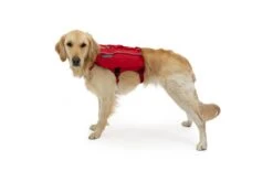 Ruffwear Singletrak Pack Red Currant -Ruffwear Verkaufsgeschäft Web 50302 Singletrak Pack Red Currant Millie Medium