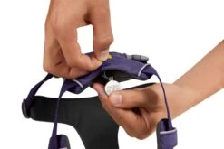 RuffWear Front Range® Harness Purple Sage -Ruffwear Verkaufsgeschäft Web20JPG 30502 Front Range Harness Purple Sage ID Tag STUDIO