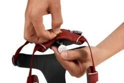 RuffWear Front Range® Harness Red Clay 13 RuffWear Front Range® Harness Red Clay -Ruffwear Verkaufsgeschäft Web20JPG 30502 Front Range Harness Red Clay ID Tag STUDIO