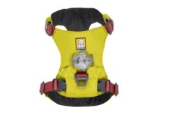 RuffWear Hi & Light™ Harness Lichen Green -Ruffwear Verkaufsgeschäft Web20JPG 30821 Hi And Light Harness Lichen Green Overhead Beacon STUDIO