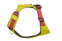 RuffWear Hi & Light™ Harness Lichen Green -Ruffwear Verkaufsgeschäft Web20JPG 30821 Hi And Light Harness Lichen Green Side STUDIO