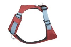 RuffWear Hi & Light™ Harness Salmon Pink -Ruffwear Verkaufsgeschäft Web20JPG 30821 Hi And Light Harness Salmon Pink Side STUDIO