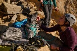 RuffWear Knot-a-Collar™ -Ruffwear Verkaufsgeschäft Web20JPG 40205 Knot A Leash Smith Rock Print 63