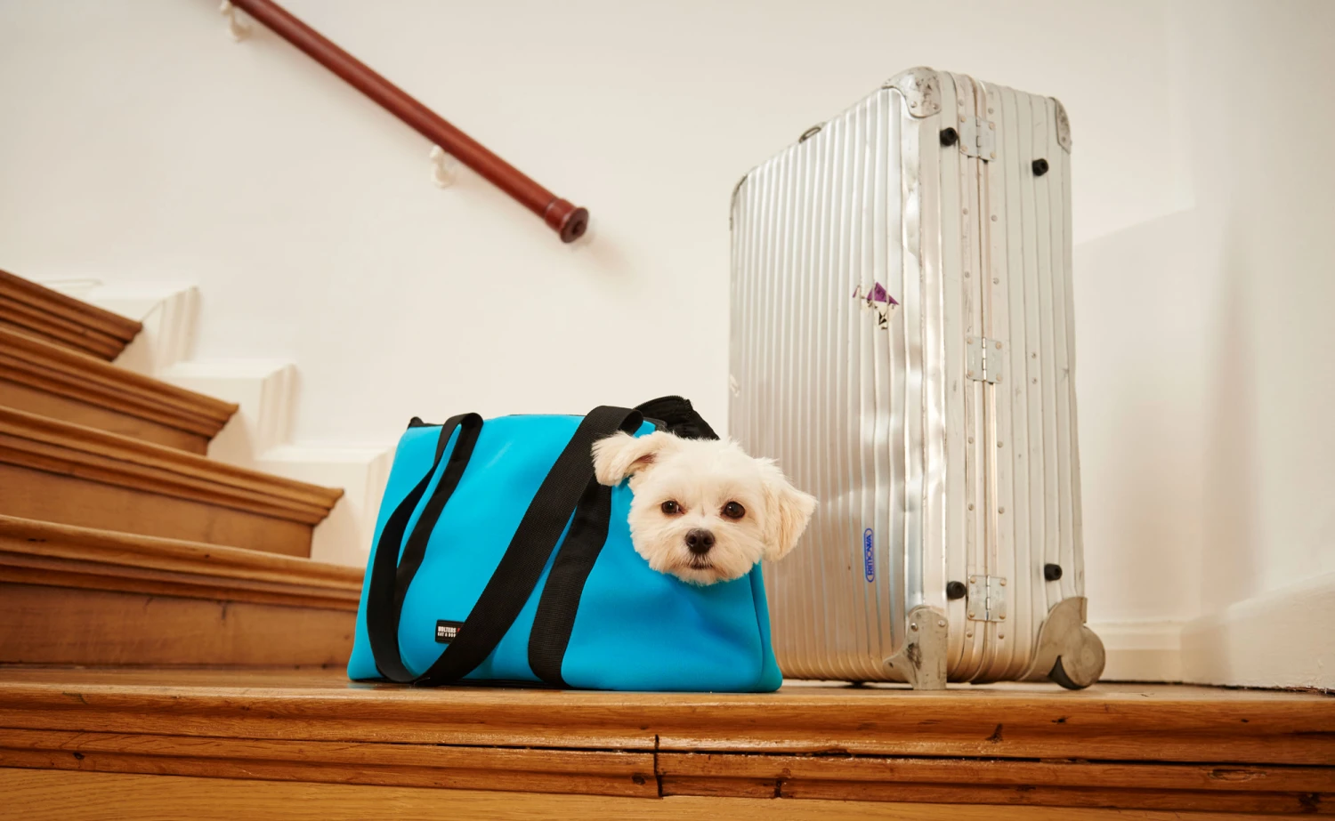 Wolters Softbag Neoprene Kiwi 4 Wolters Softbag Neoprene Kiwi – Bild 2