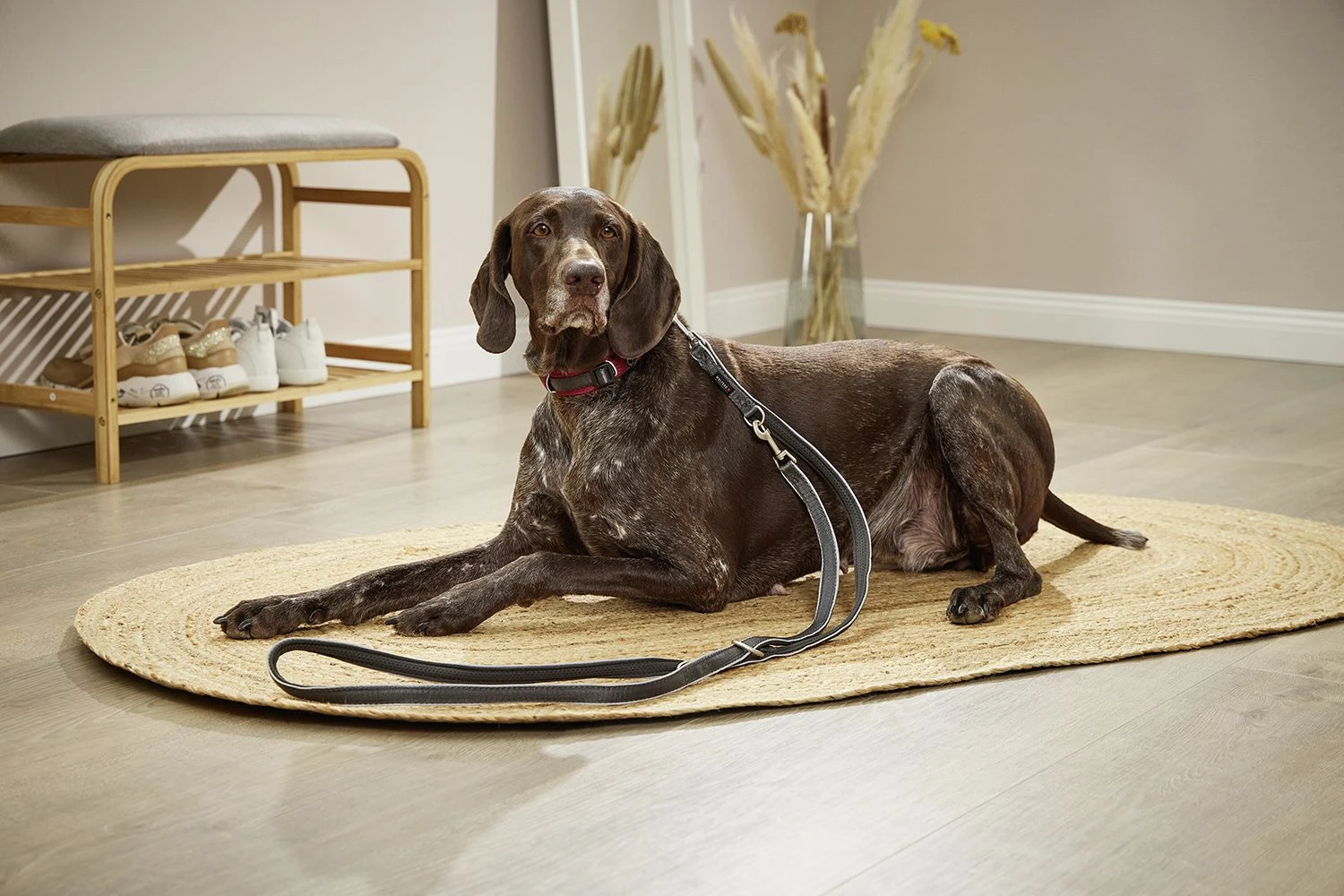 Wolters Führleine Active Pro Comfort 4 Wolters Führleine Active Pro Comfort – Bild 2