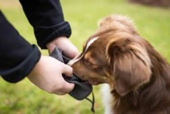 Wolters Adventure Dummy -Ruffwear Verkaufsgeschäft Wolters Adventure Dummy anthrazit web Mood IV 1920x1920