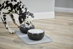 Wolters Diner Colour -Ruffwear Verkaufsgeschäft Wolters Diner Colour Schwarz WeiC39F Mood I web HC3A4ndler