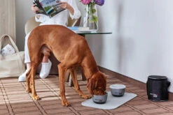 Wolters Diner TO GO 2 X 750ml Grau 11 Wolters Diner TO GO 2 X 750ml Grau -Ruffwear Verkaufsgeschäft Wolters Pressebild Diner to Go web