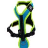 Zero DC Safety Kurzgeschirr Türkis/neongrün -Ruffwear Verkaufsgeschäft ZeroDC Safety tC3BCrkis neongrC3BCn